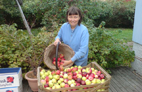 Ulla&Äpplen